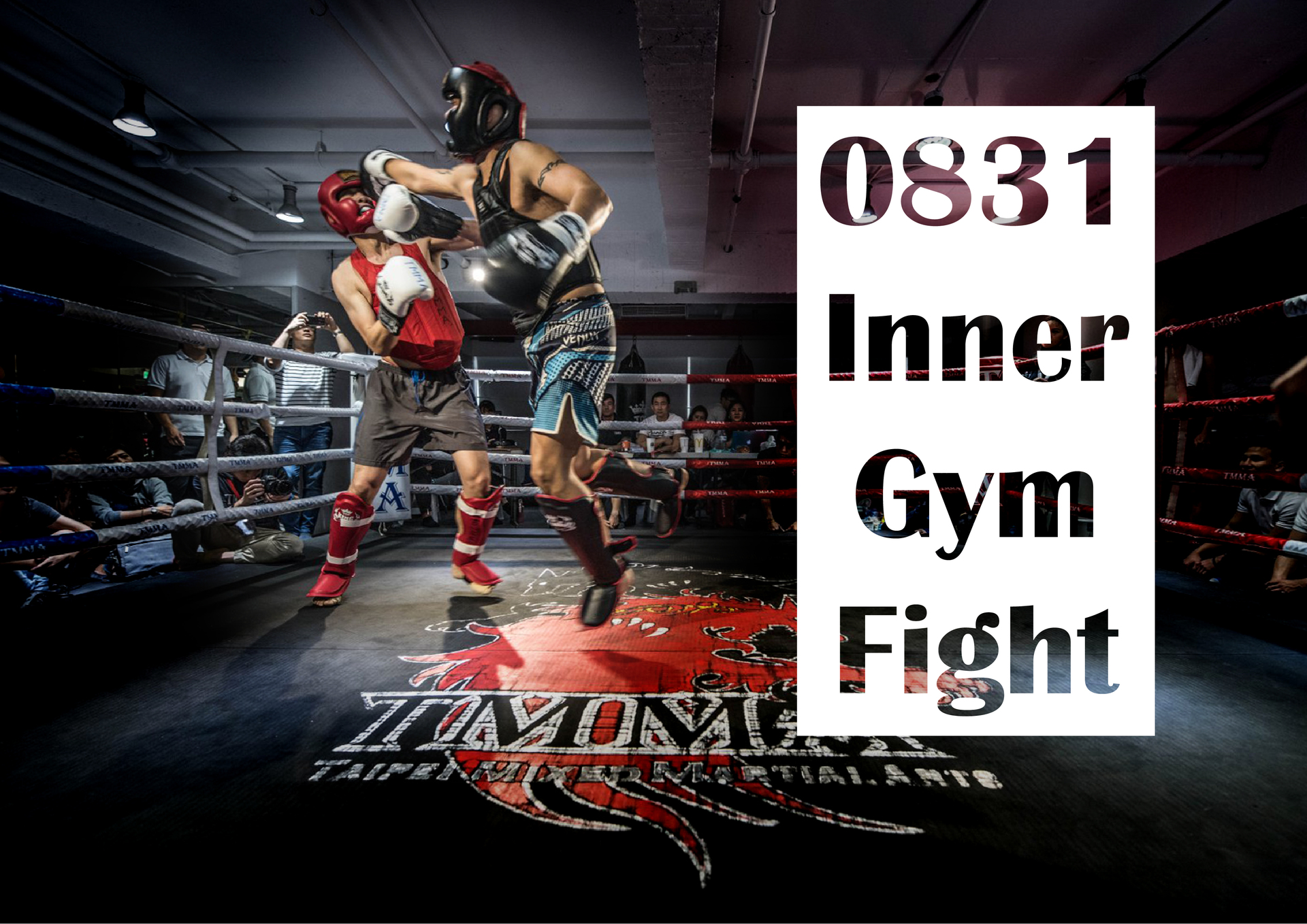 TMMA Inner gym Fight competition